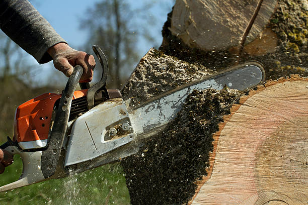 Best Utility Line Clearance  in Kohler, WI